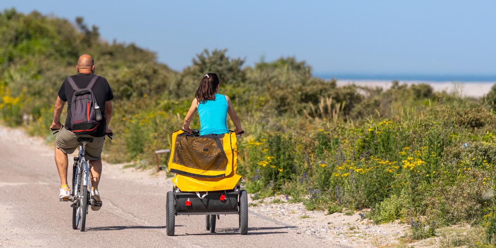 Cayeux-sur-Mer : route blanche à vélo en famille