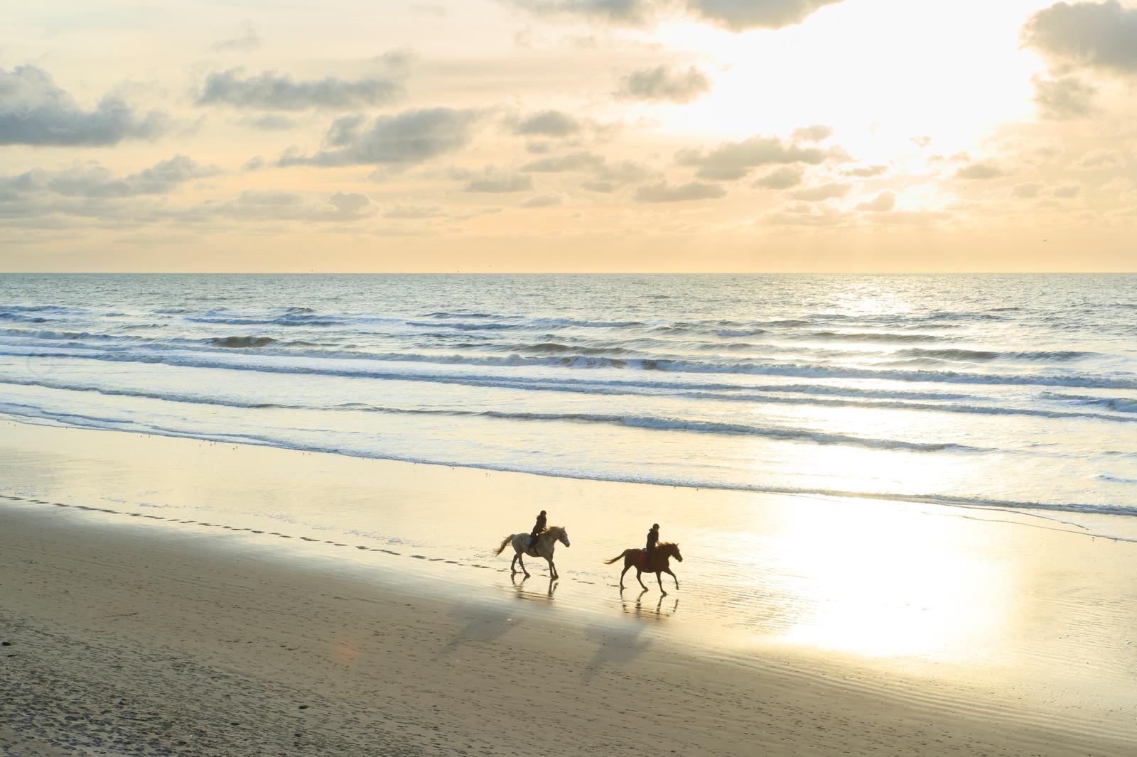 Saint-Etienne-au-Mont : balade à cheval sur la plage