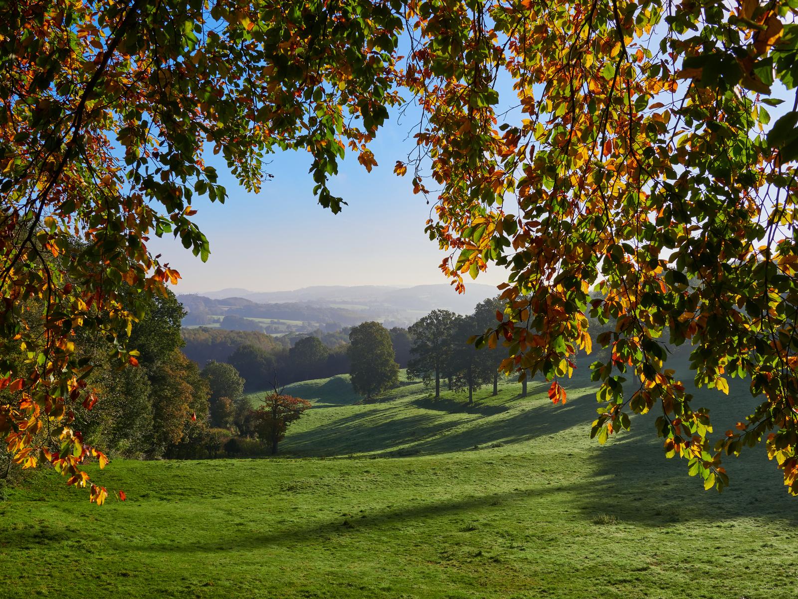 Flandres : vue sur la plaine en automne