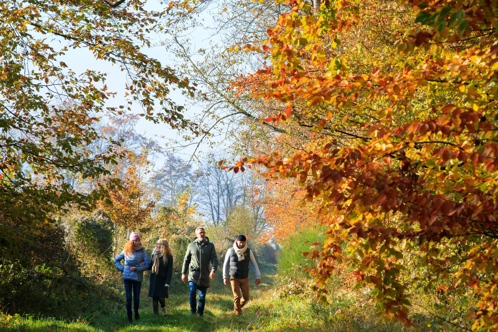 Orrouy : amis en forêt de Compiègne, vallée de l'Automne