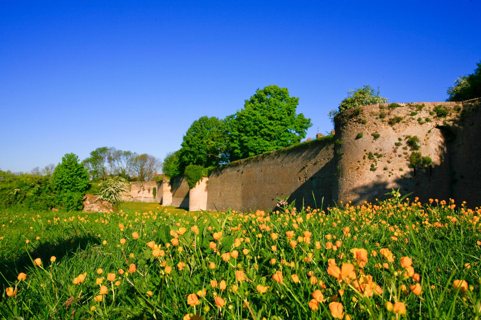 Bergues : les remparts en été