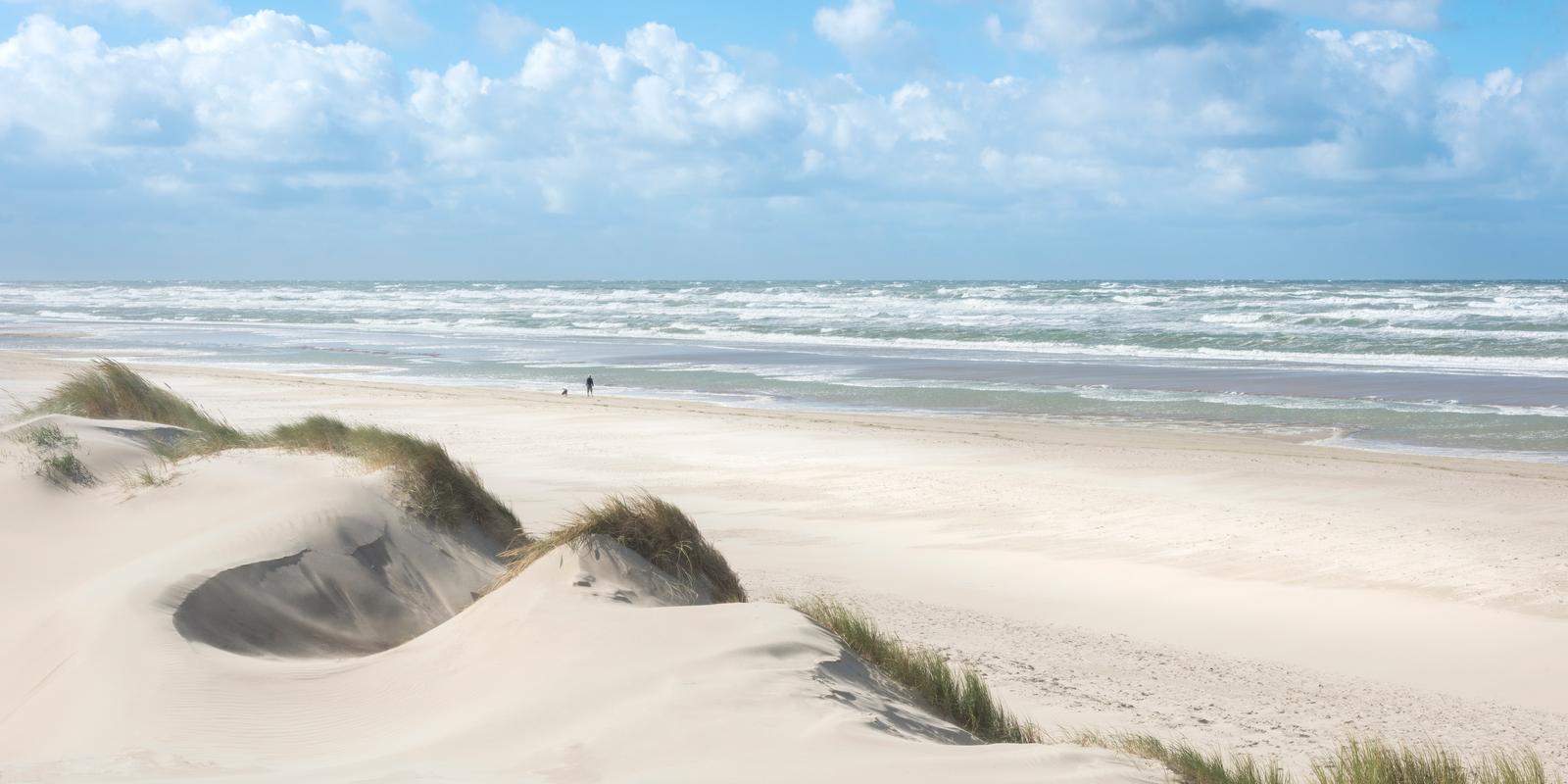 Cote d'Opale : dunes, oyats et mer en été