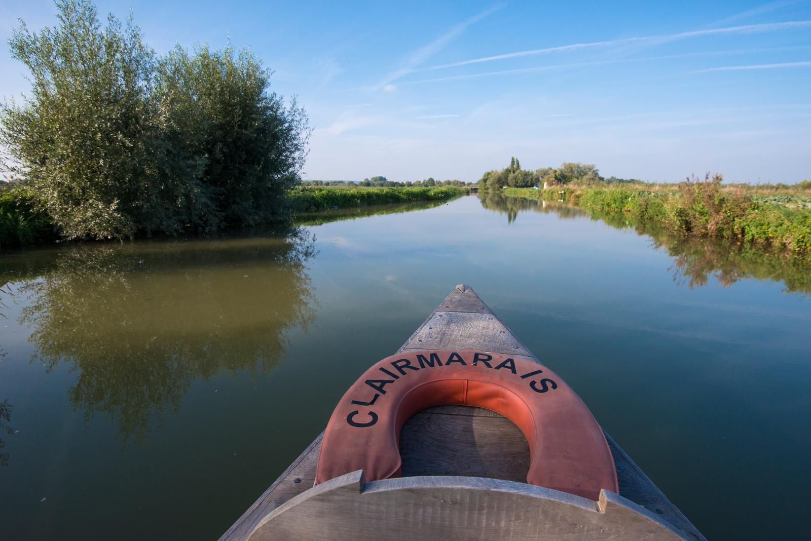 Clairmarais : bacôves sur les marais 01