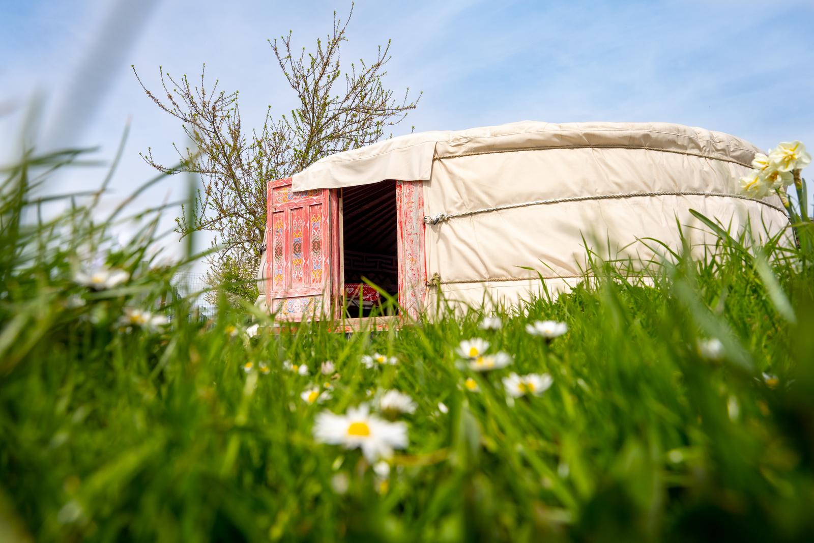 Farbus : yourte à la ferme du moulin de bois 07