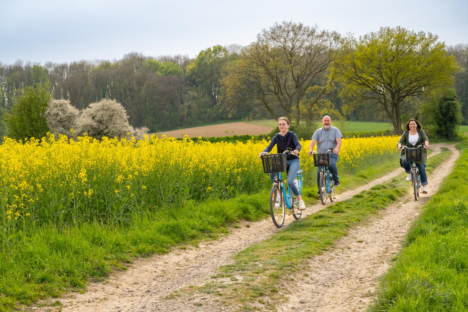 Farbus : yourte à la ferme du moulin de bois 21