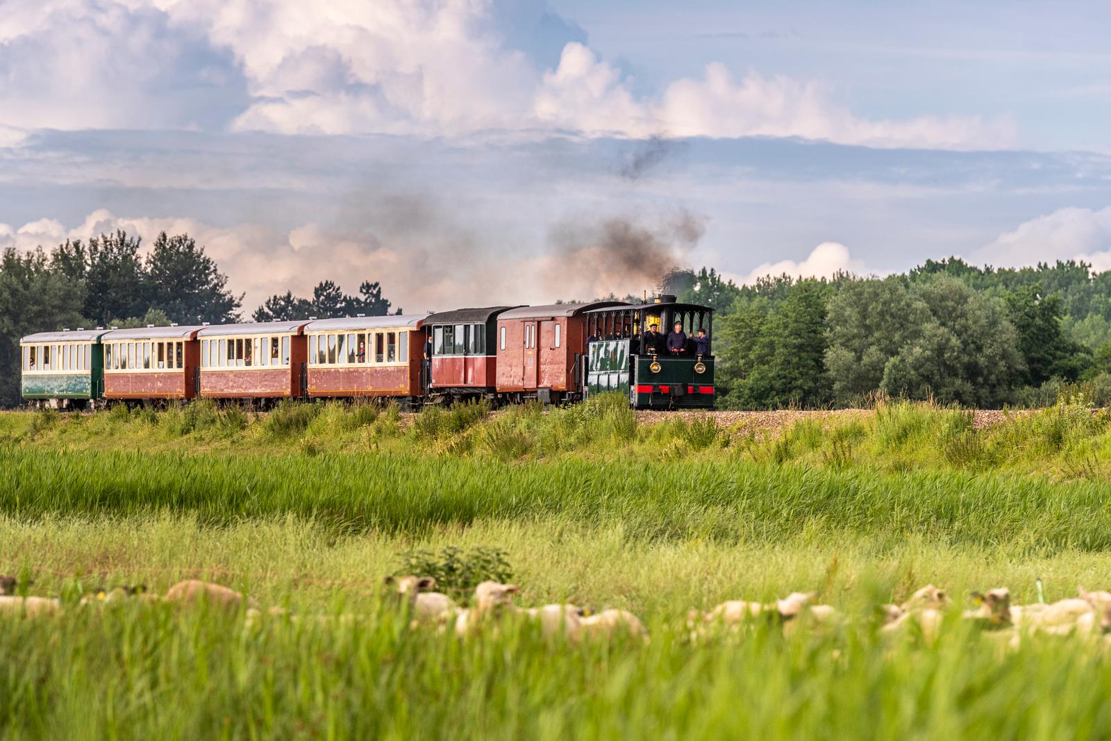 Chemin de fer de la Baie de Somme : train touristique à vapeur 02