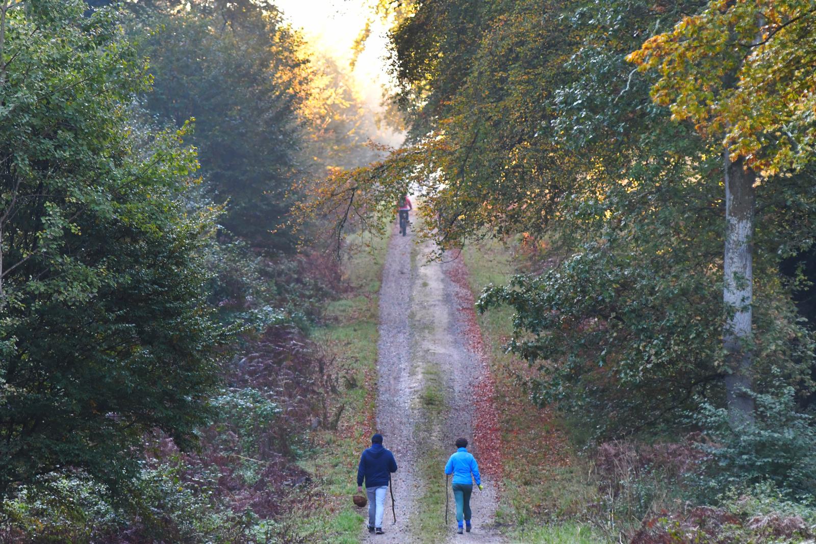 Crécy-en-Ponthieu : marcheurs dans la forêt en automne 02