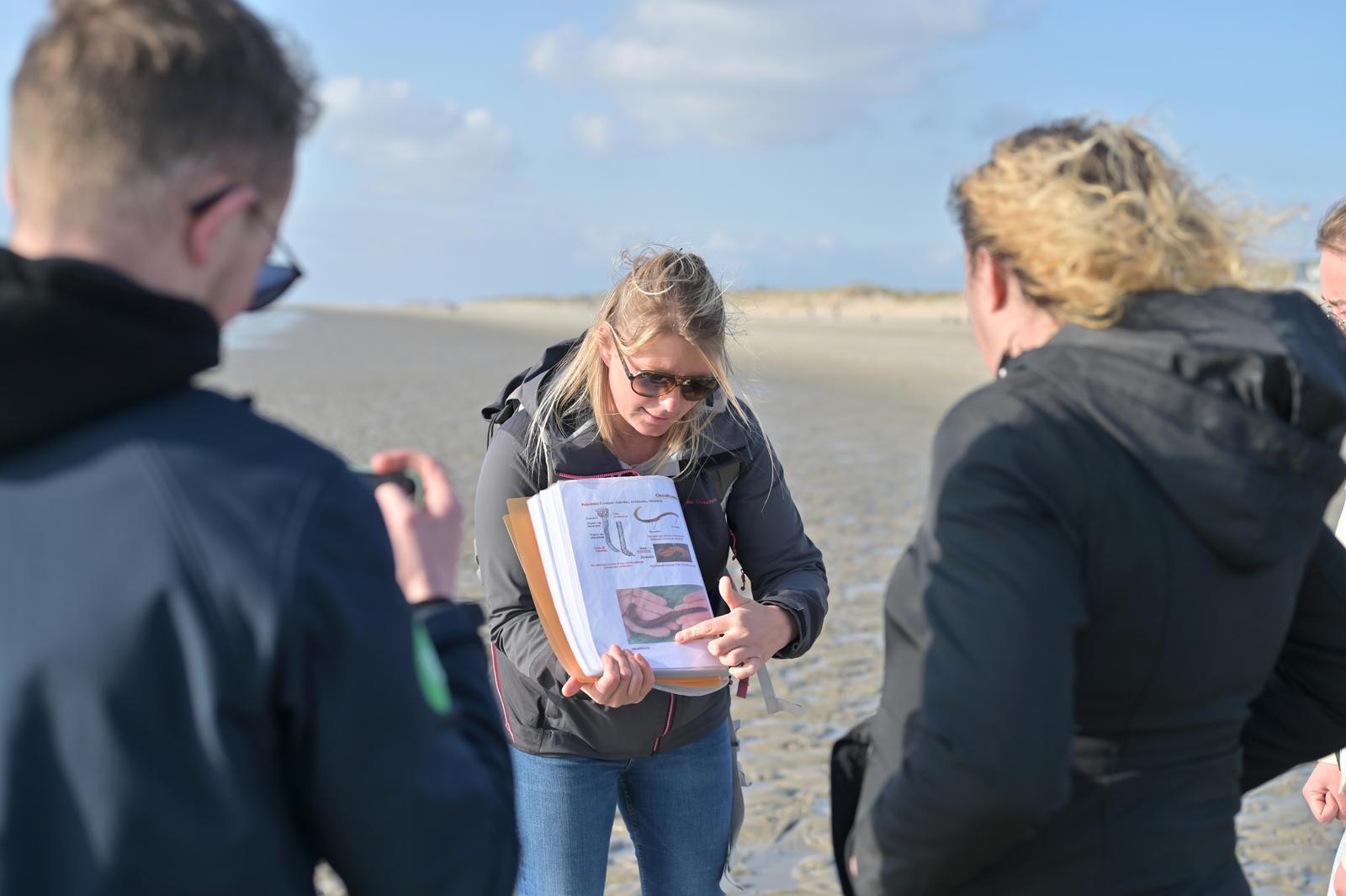 Saint-Quentin-en-Tourmont : sortie nature en baie de Somme avec Odile Tavernier