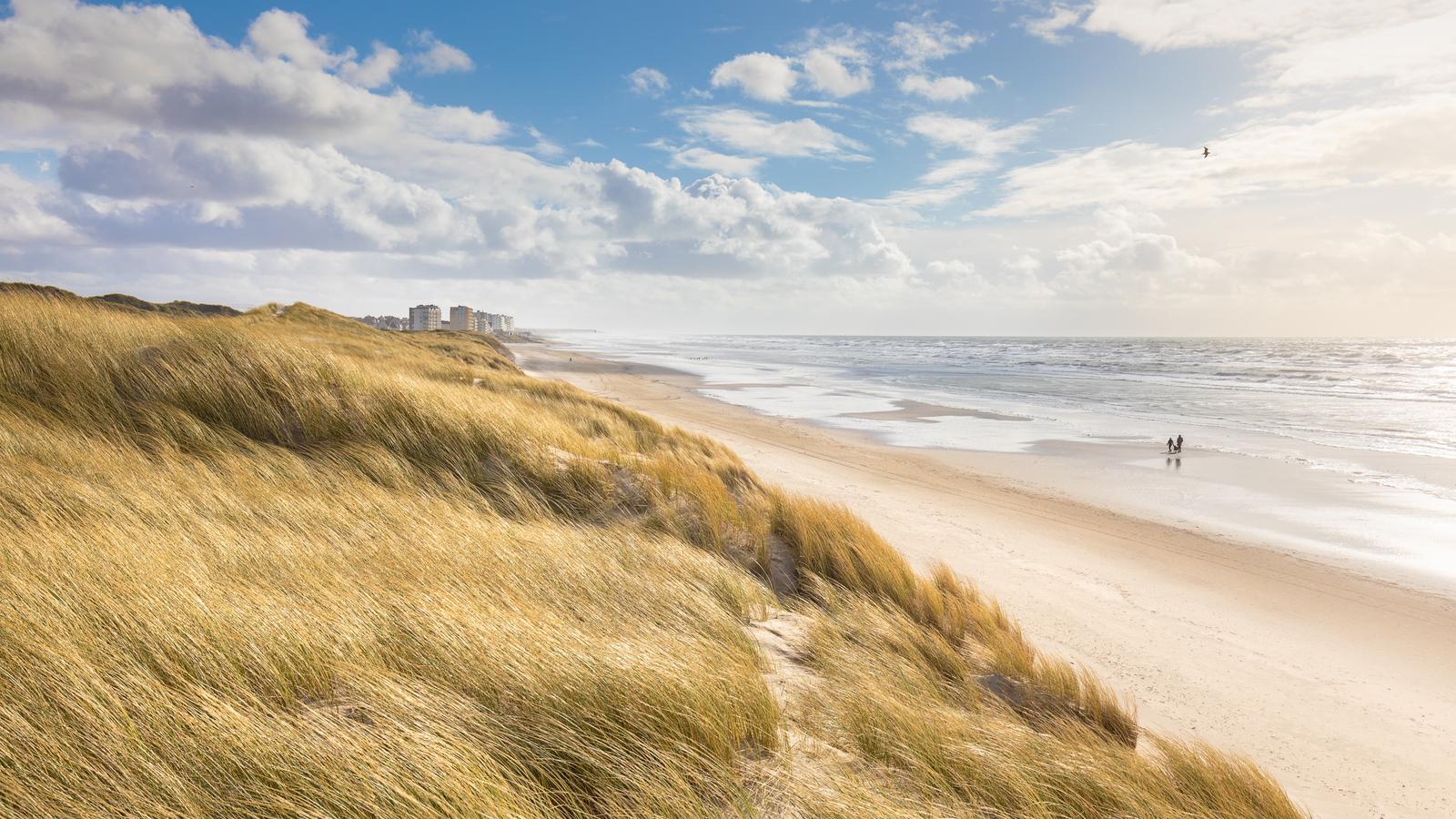 Hardelot - la plage vue depuis les dunes d'Écault