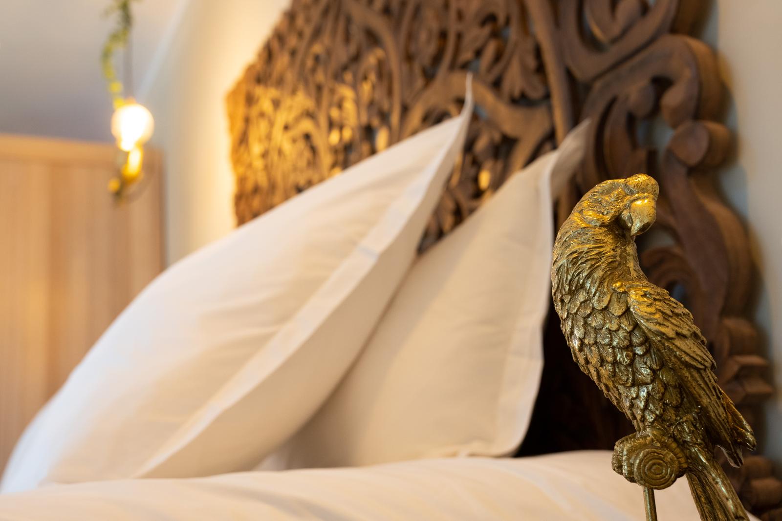 Zuydcoote : gîte et spa Nü-De 11