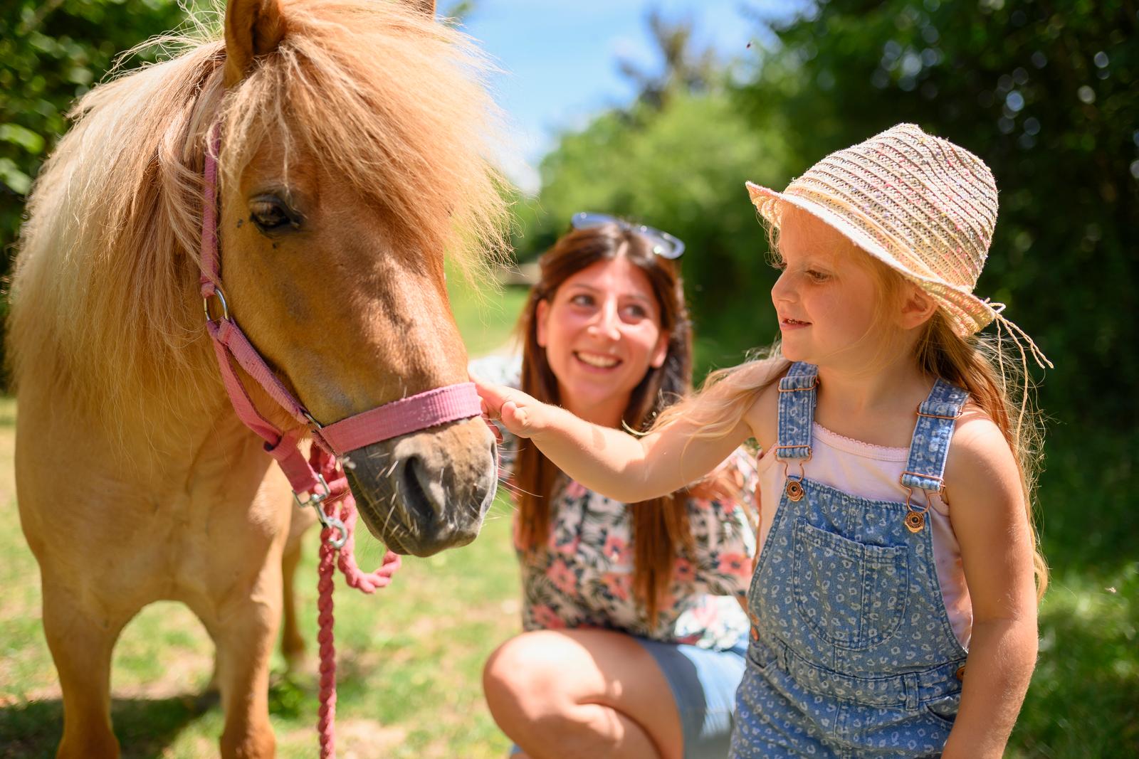 Trie-Château : le village des templiers, famille en promenade avec des poneys 06