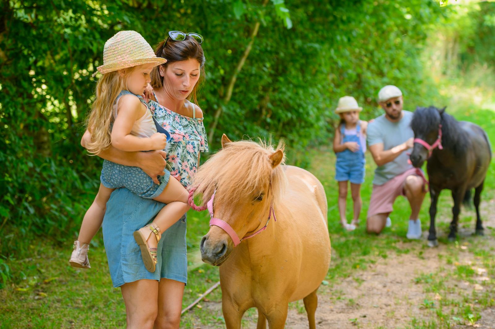 Trie-Château : le village des templiers, famille en promenade avec des poneys 05