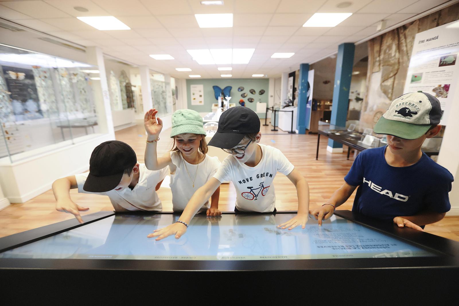 Saint-Quentin : le musée des papillons 01