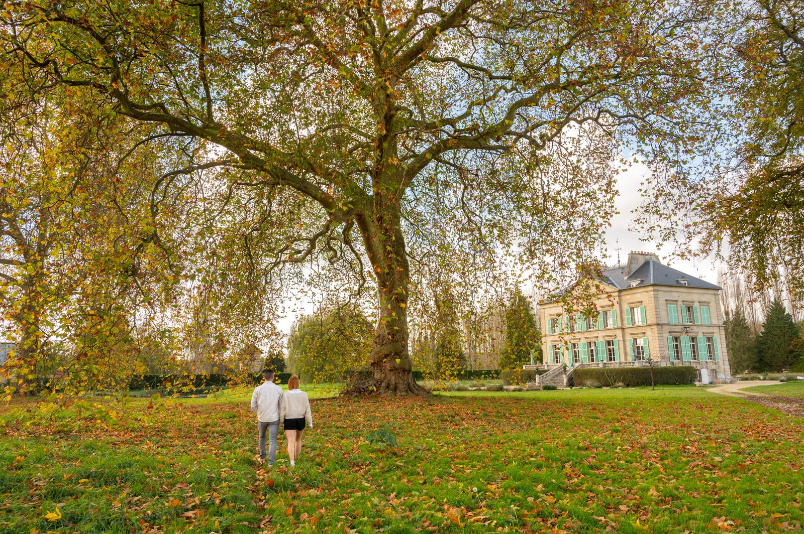 Hondainville : domaine du château vert 06