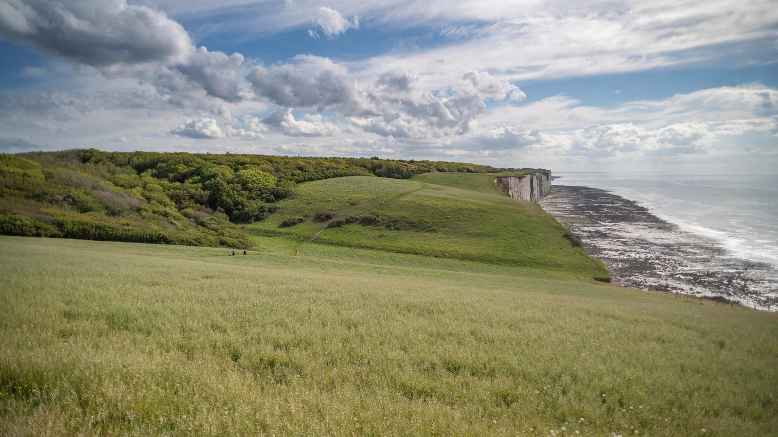 Le Bois de Cise au printemps 02