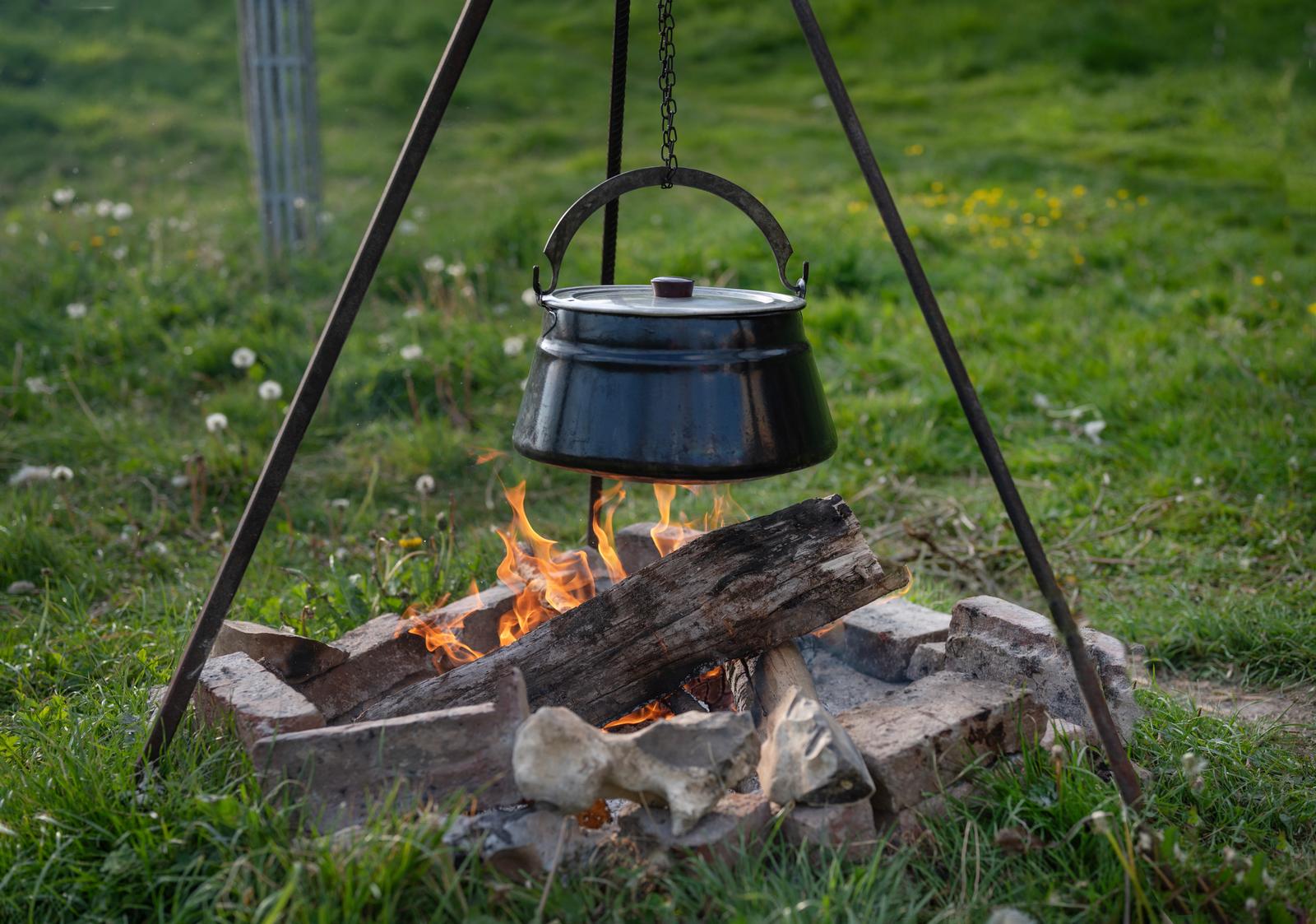 Méréaucourt : yourtes de la ferme Les Reines des Prés 75