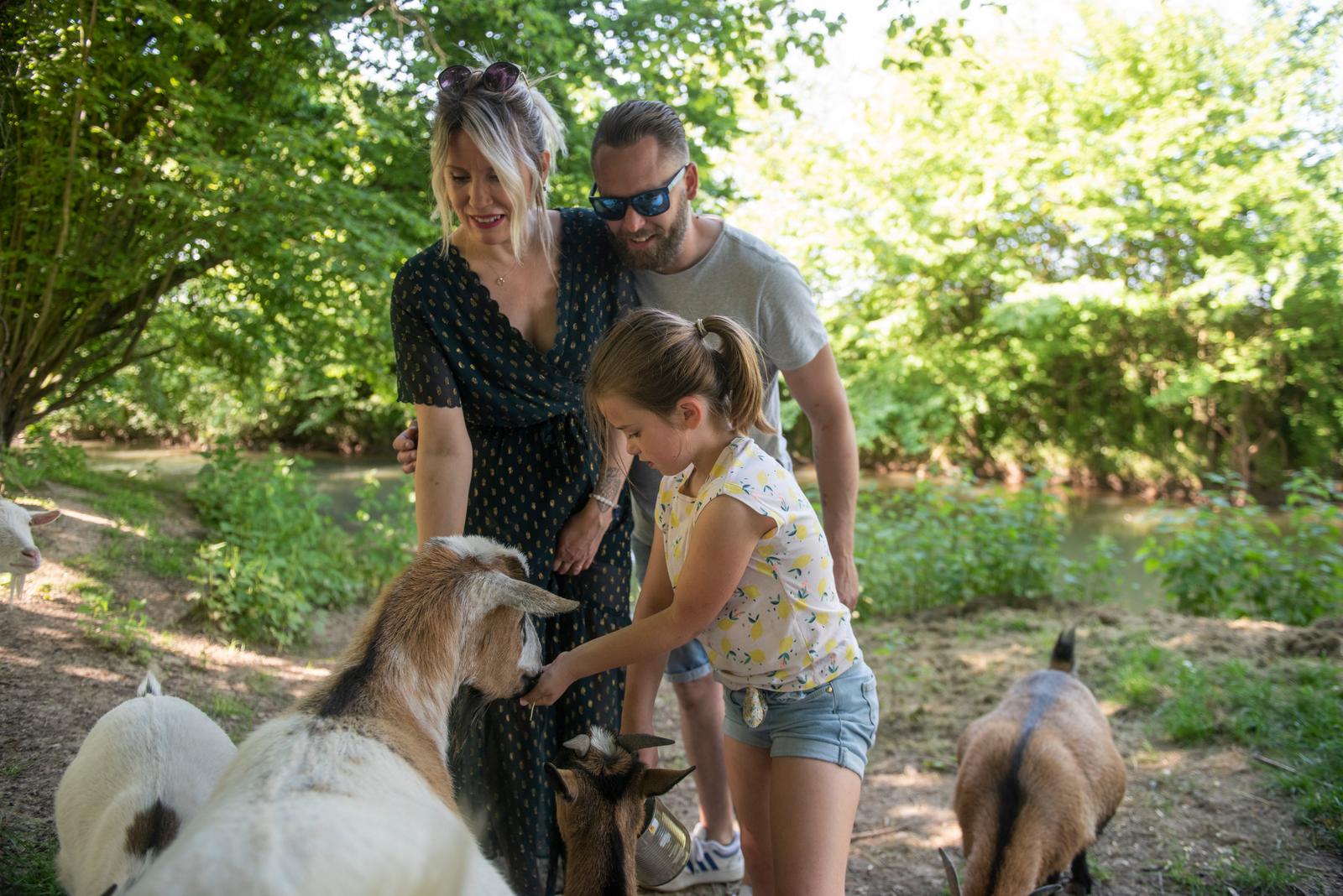 Crécy-sur-Serre : au domaine du Pré Dieu 25