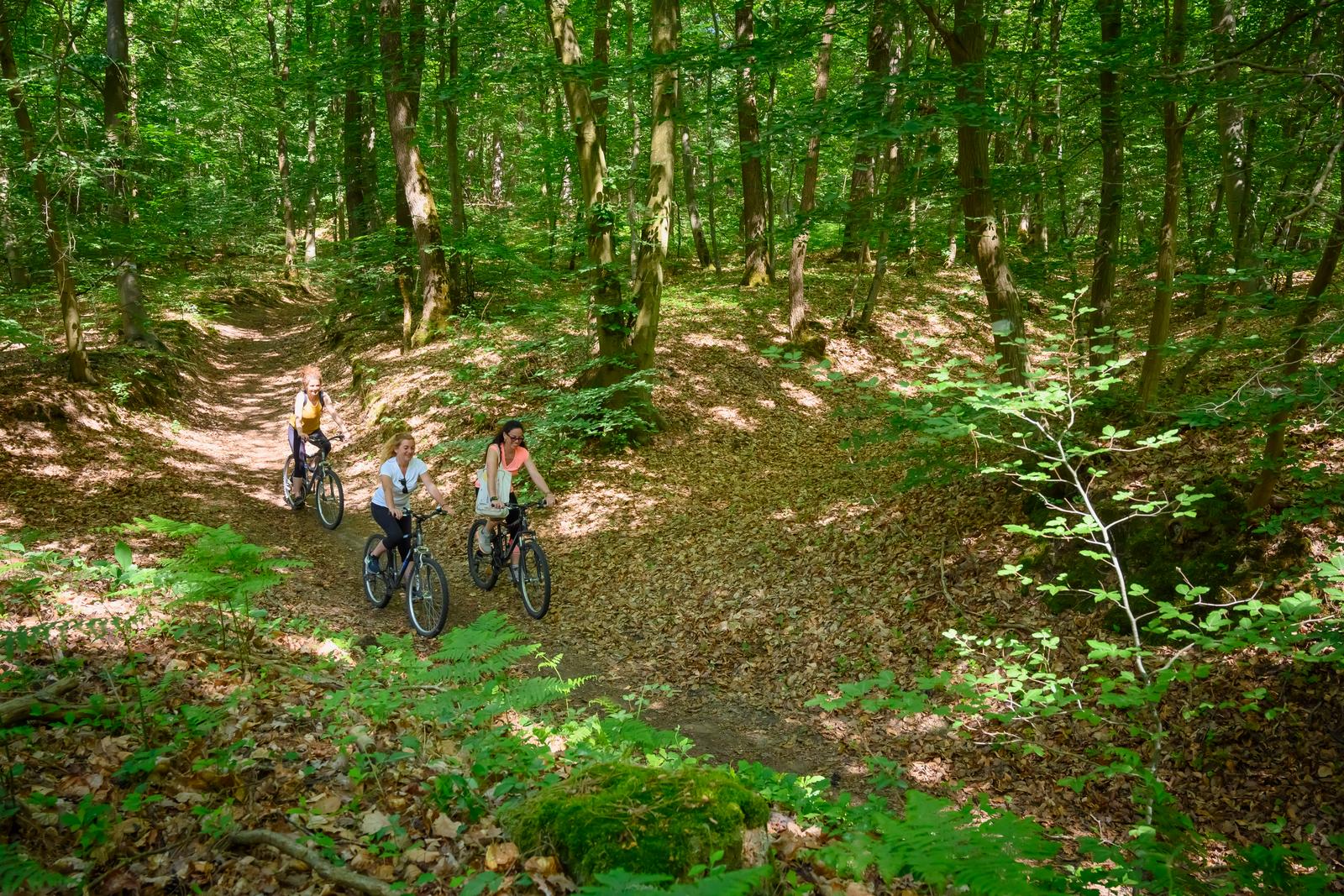 Forêt de Hez-Froidmont - Amies à vélo
