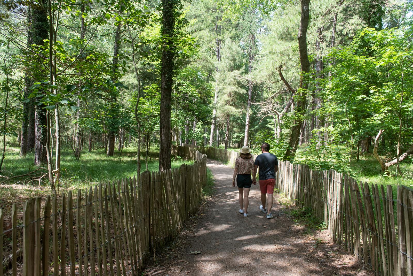 Groffliers : couple en promenade au camping de la Mollière 08