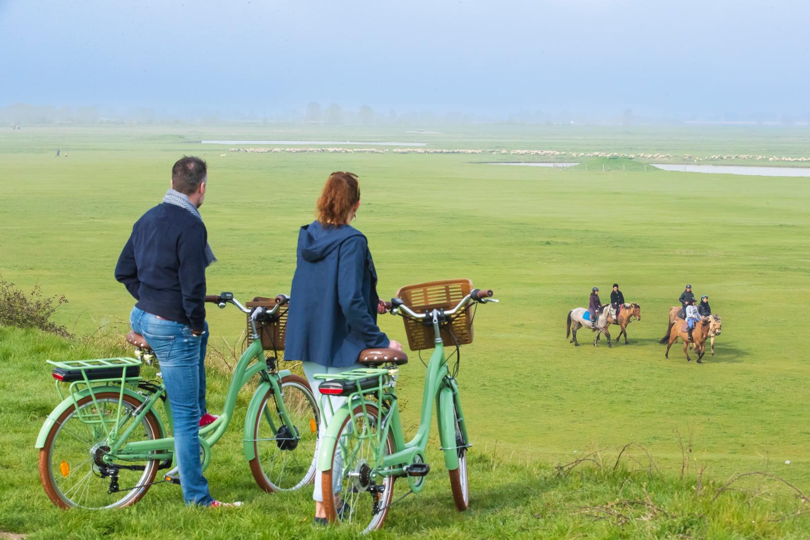 Saint-Valery-sur-Somme : couple à vélo et cavaliers sur des chevaux Henson 