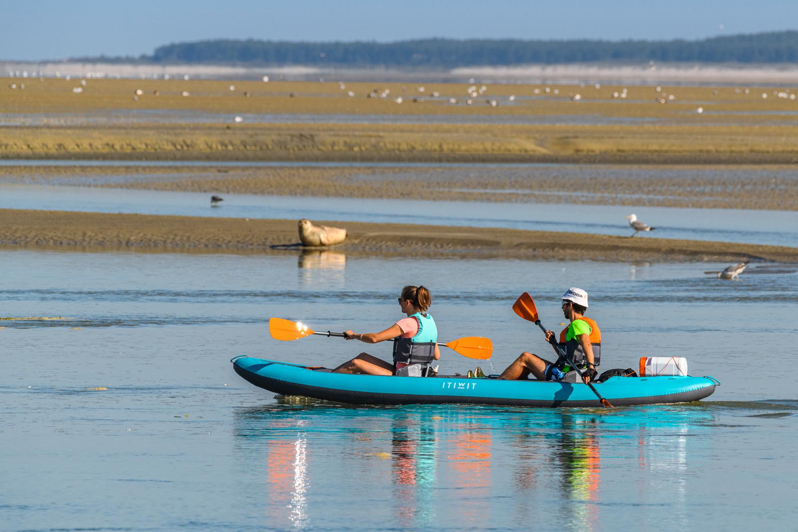 Saint-Valéry-sur-Somme - Observation des phoques en canoë-kayak