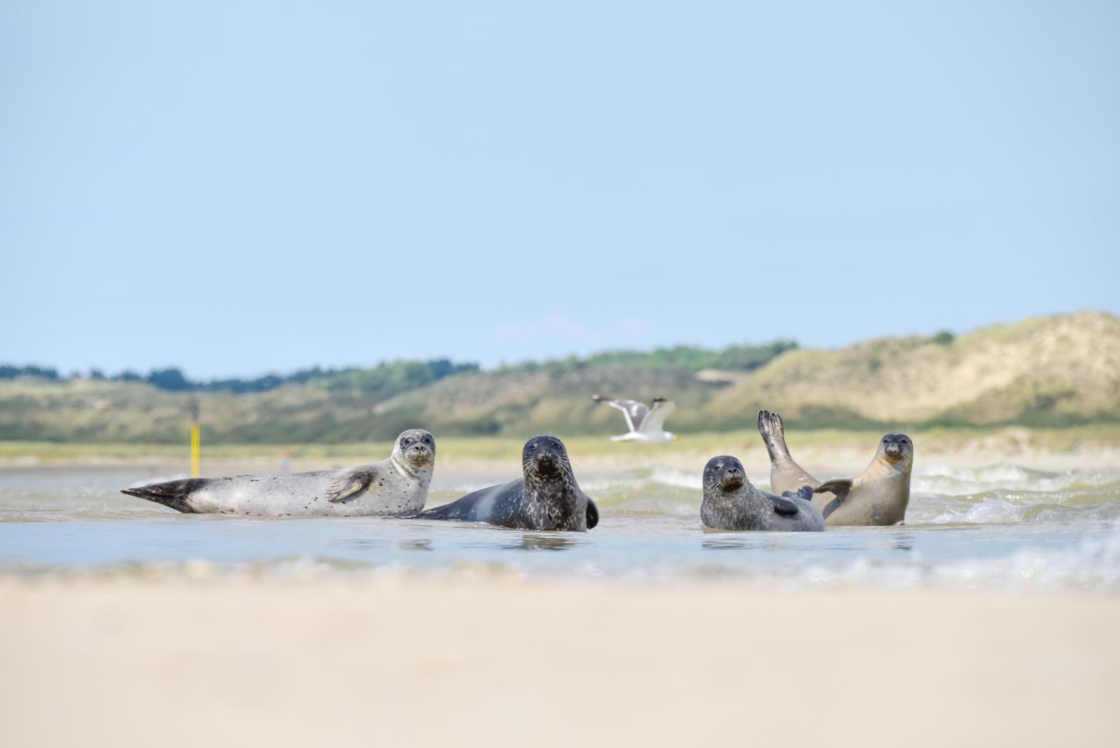 Le Touquet
