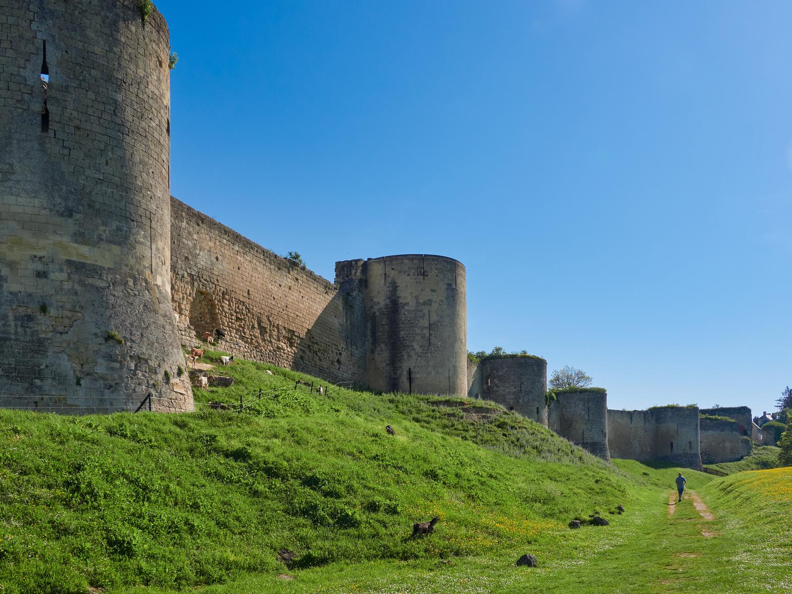 Coucy-le-Château-Auffrique : le château 09