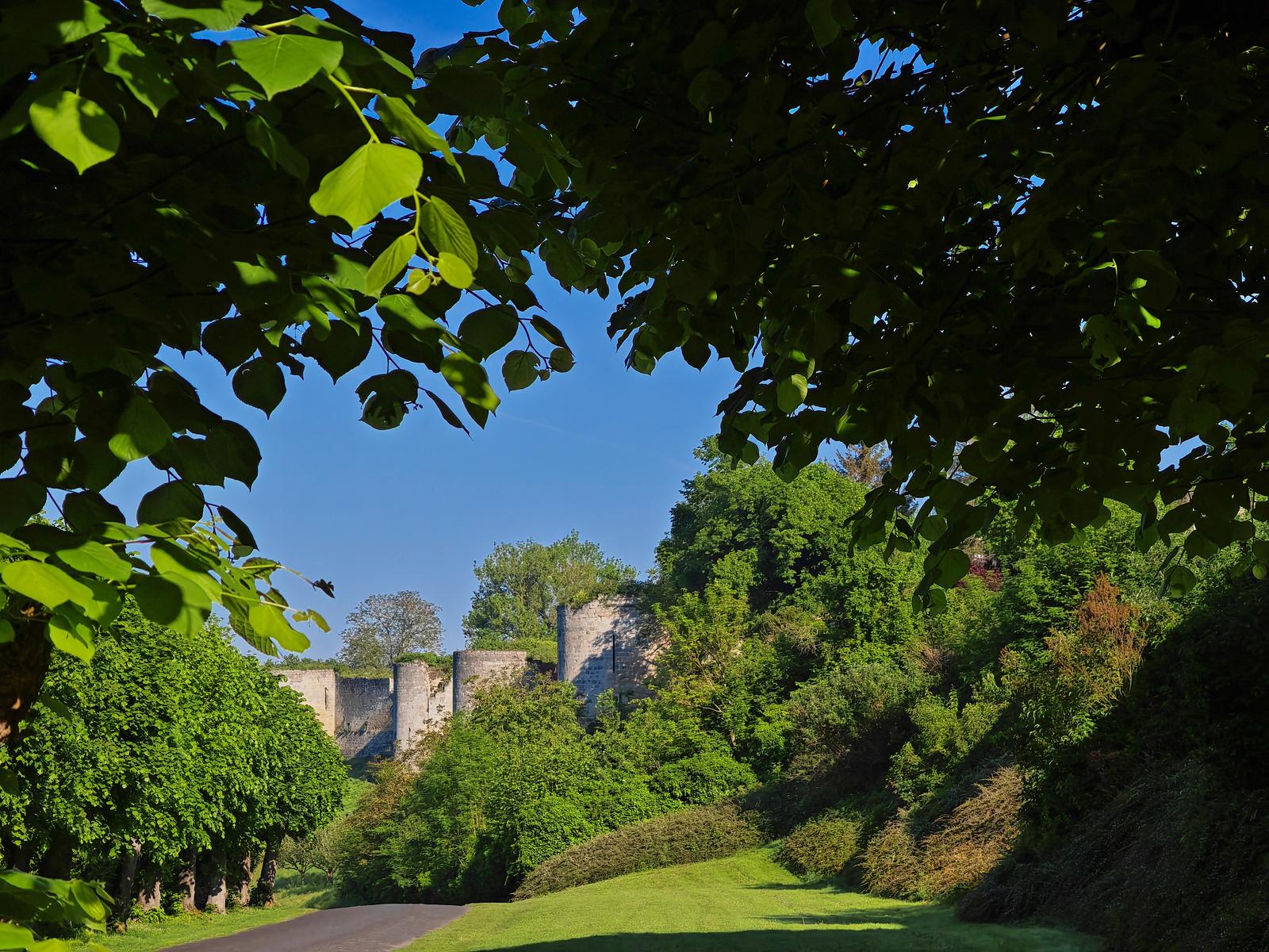 Coucy-le-Château-Auffrique : le château 11