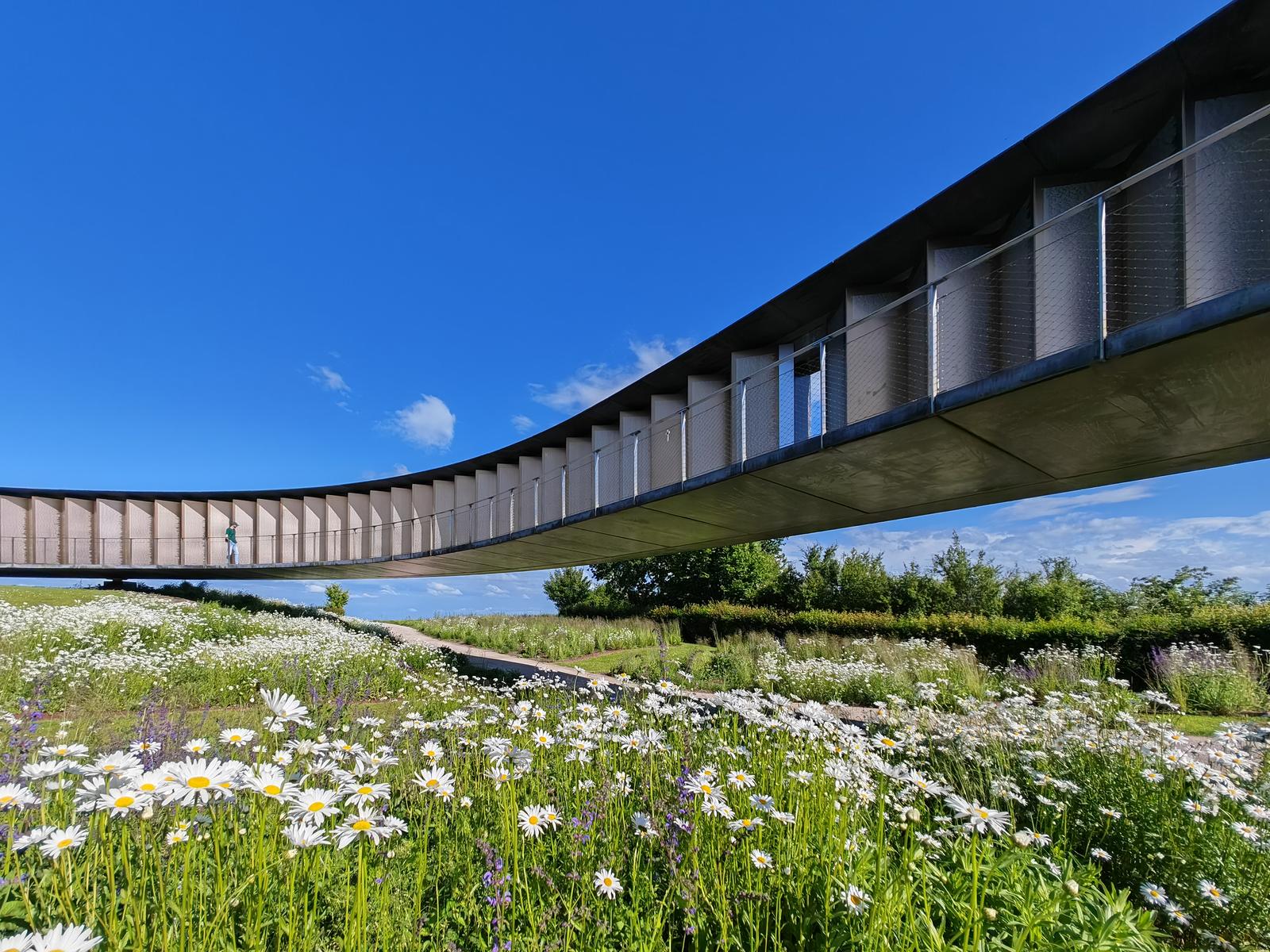 Ablain-Saint-Nazaire : anneau de la mémoire, mémorial international 06
