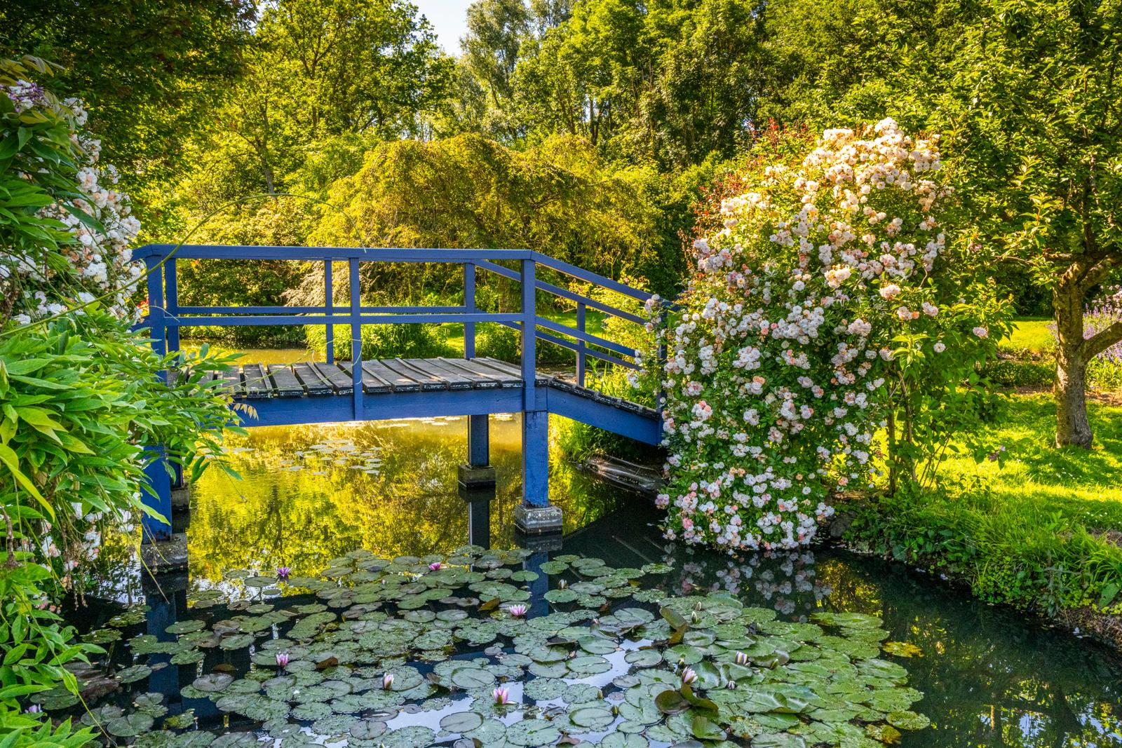 Saint-Paul : jardin du peintre André Van Beek 11