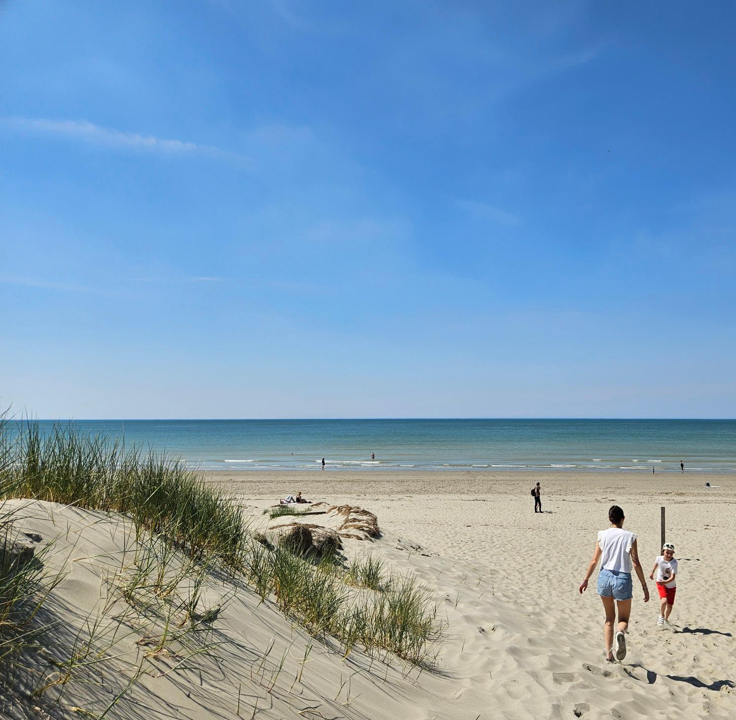 Saint-Quentin-en-Tourmont : sentier d'accès à la mer, la plage