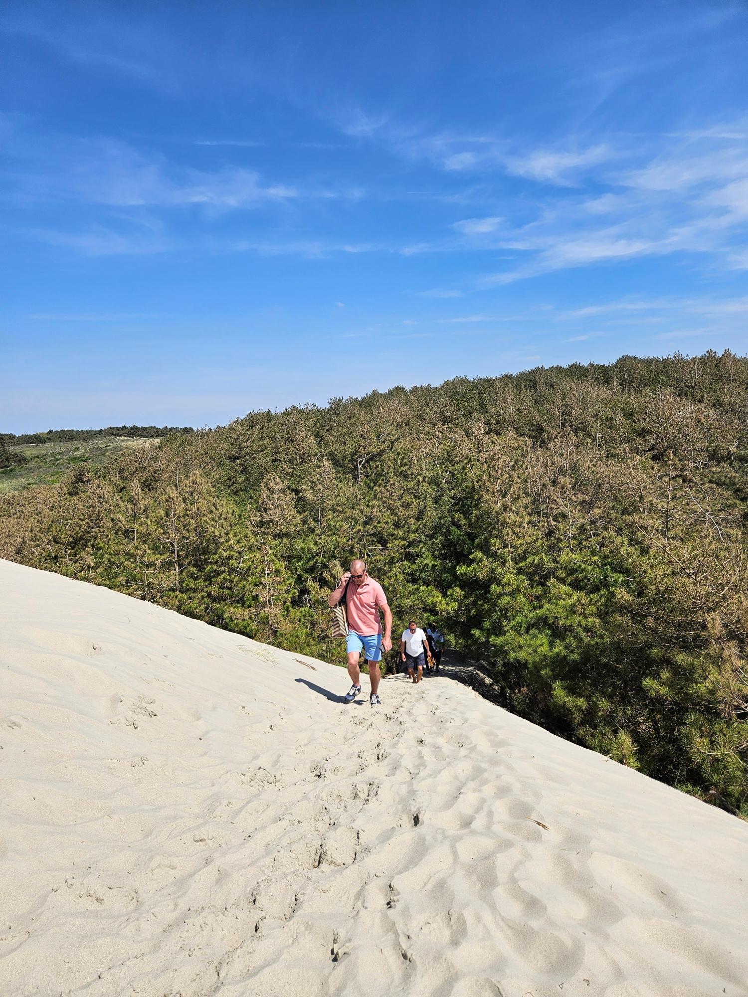 Saint-Quentin-en-Tourmont : sentier d'accès à la mer dans les dunes 04