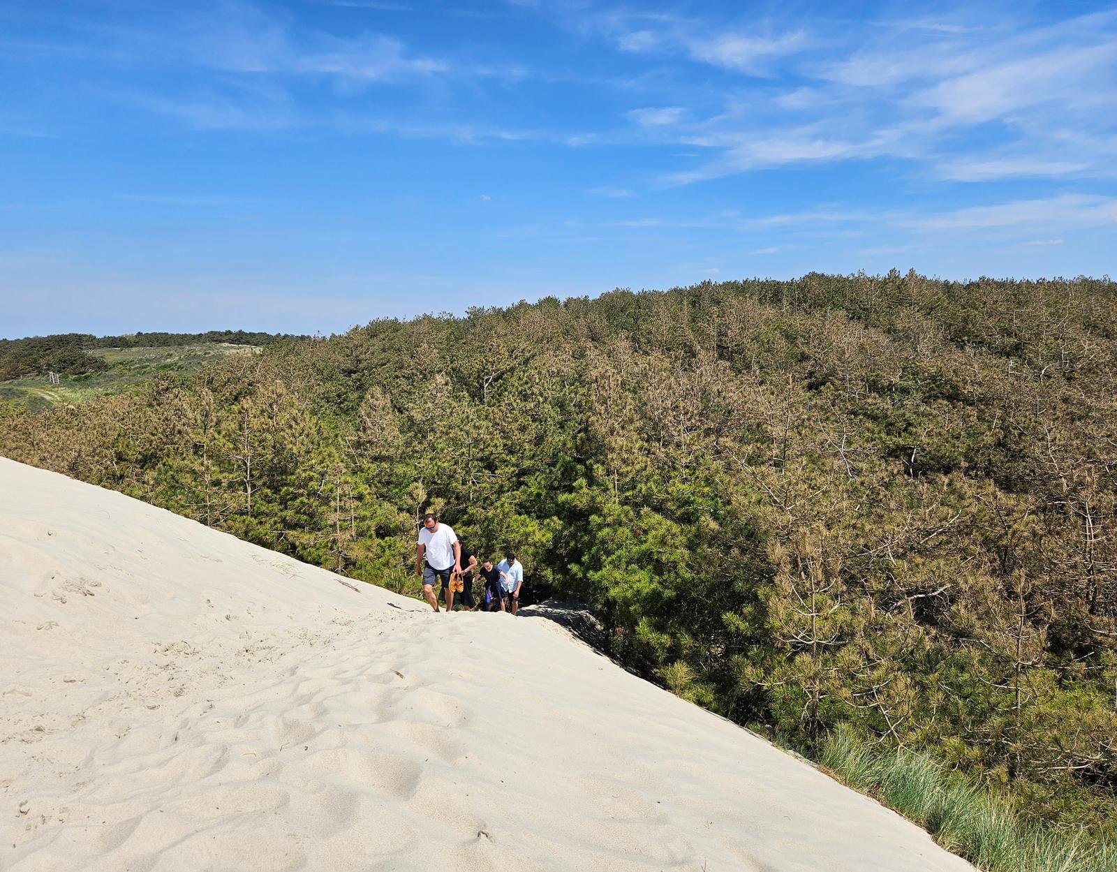 Saint-Quentin-en-Tourmont : sentier d'accès à la mer dans les dunes 03