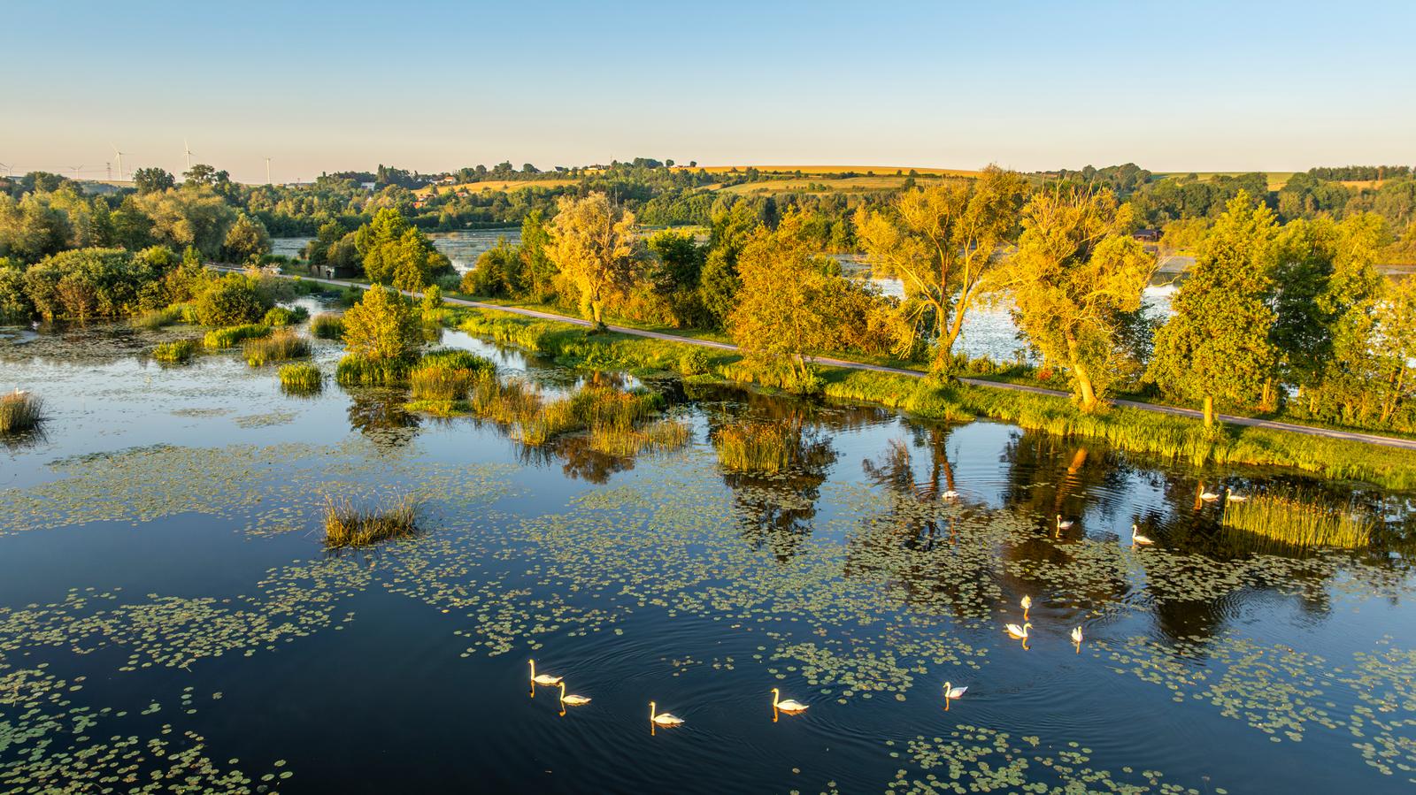 Long : vue aérienne des marais 02