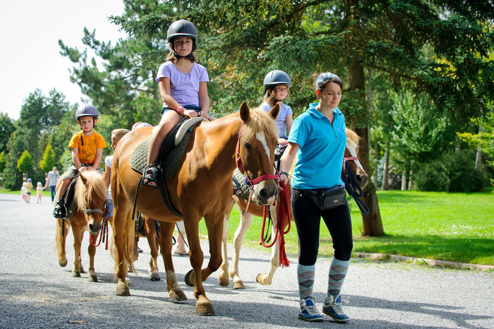 Saint-Quentin : groupe d'enfants à poney au parc d'Isle