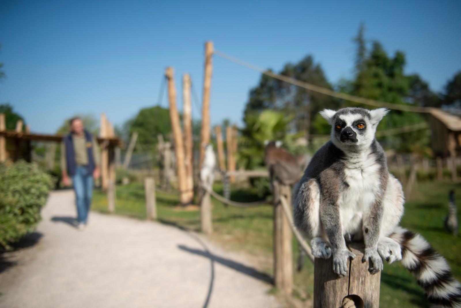 Saint-Quentin : l'Isle sauvage, parc zoologique 03