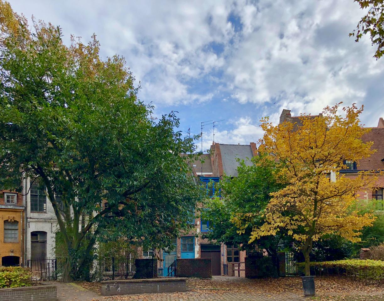 Lille : la place Gilson en automne