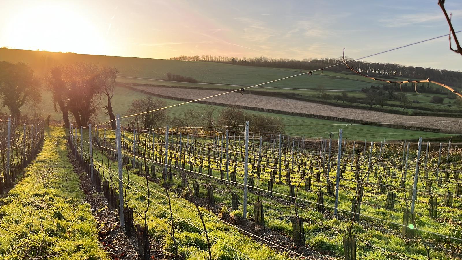 Mentque-Nortbecourt : Happy and Relax 15