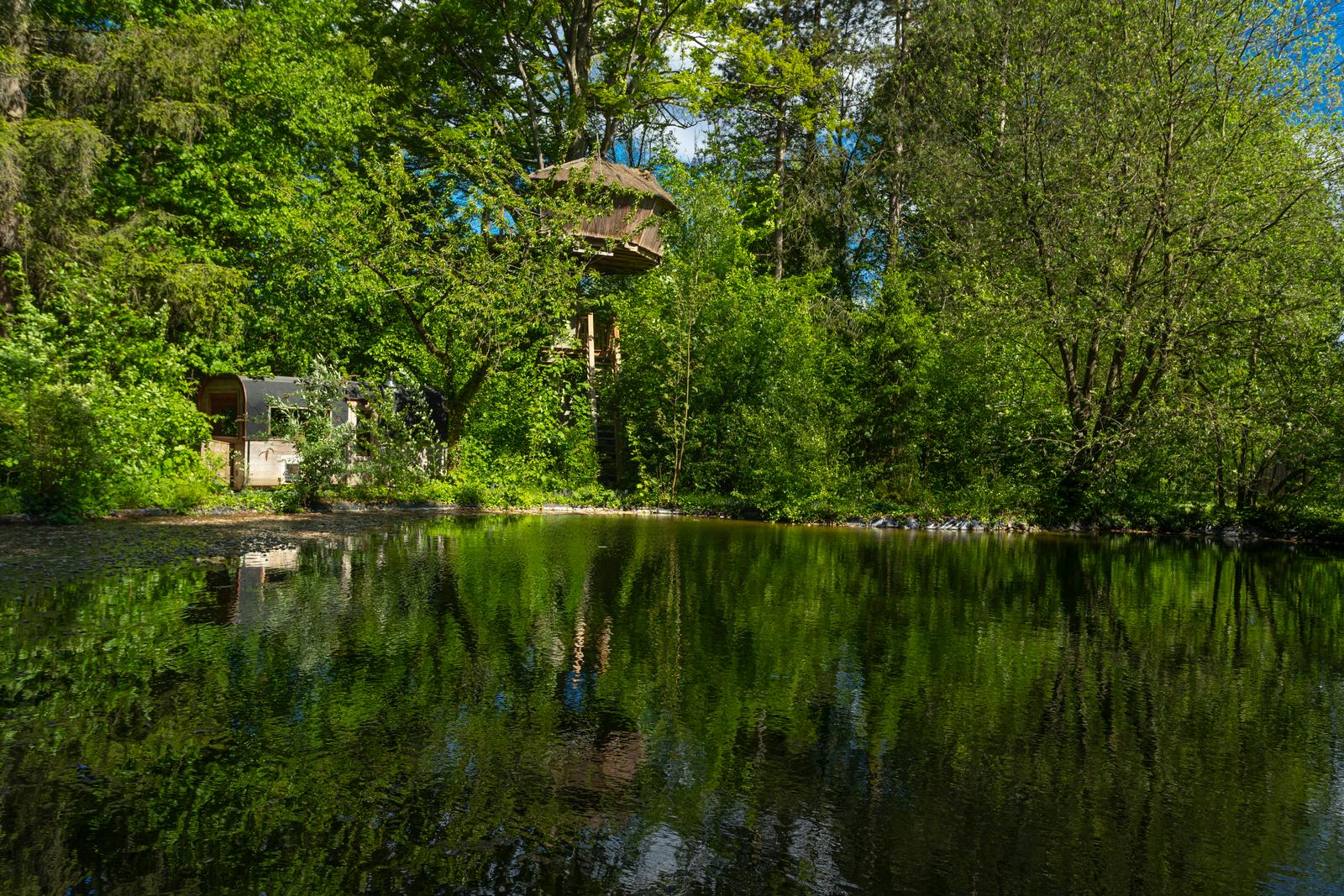 Wail : le domaine de Wail 64