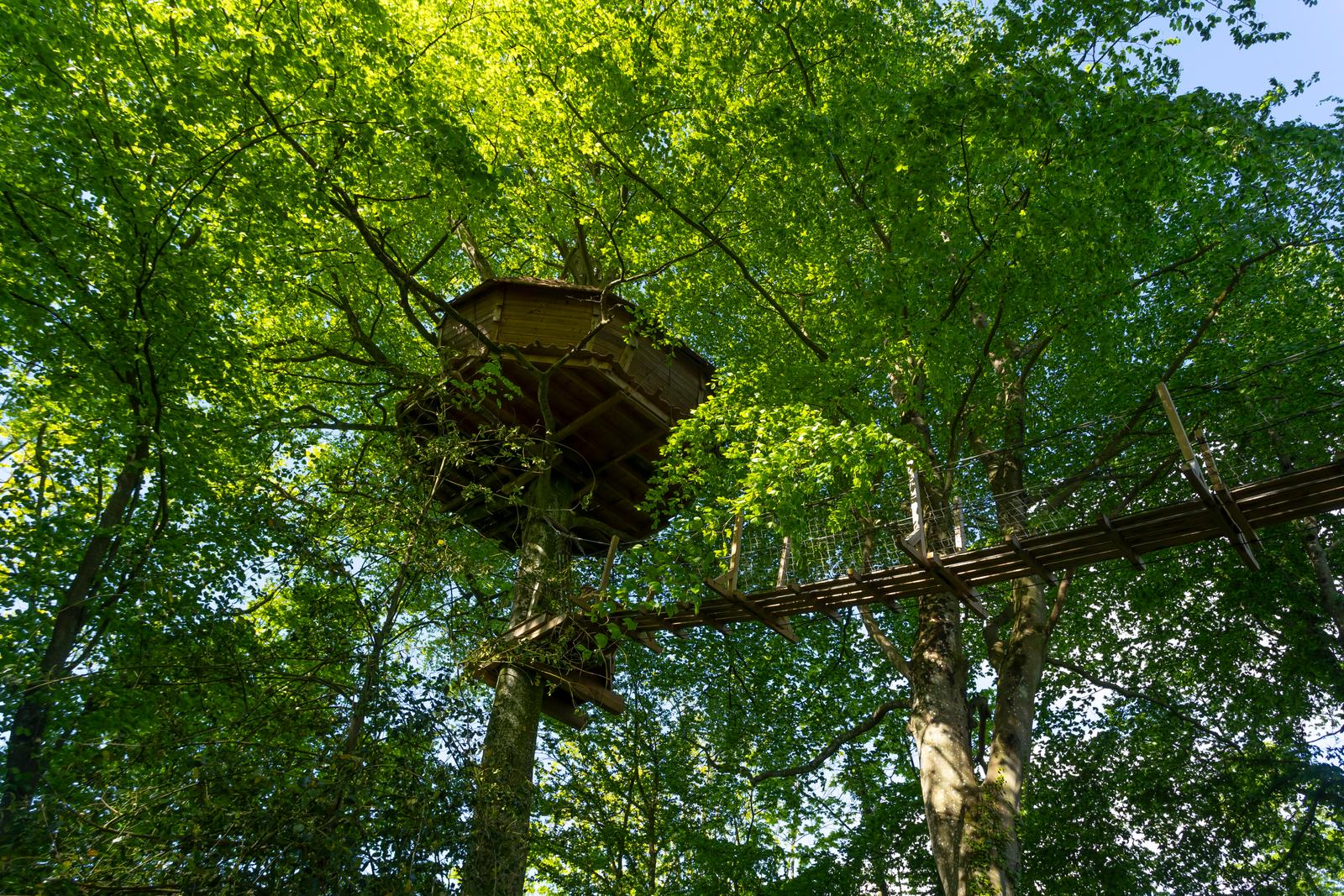 Wail : le domaine de Wail 66