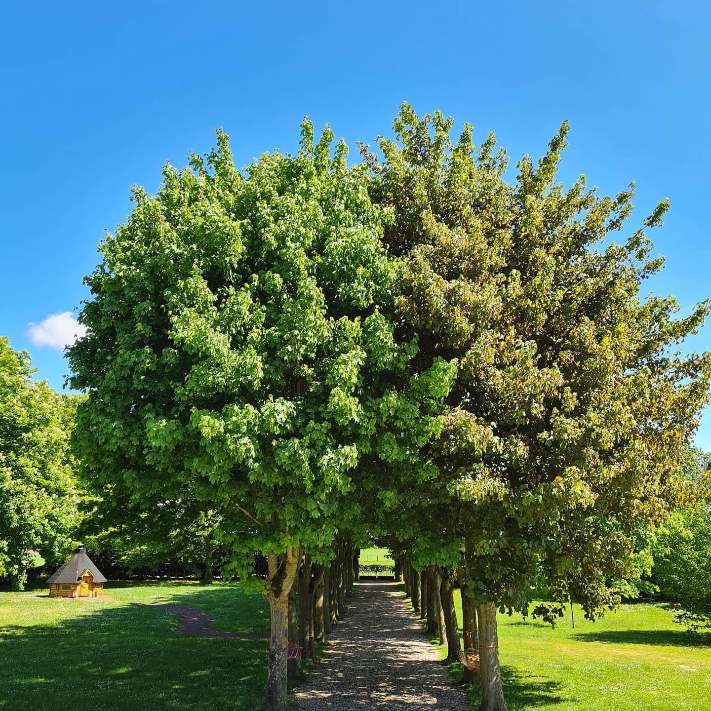 Saint-Blimont : Château des Lumières 20