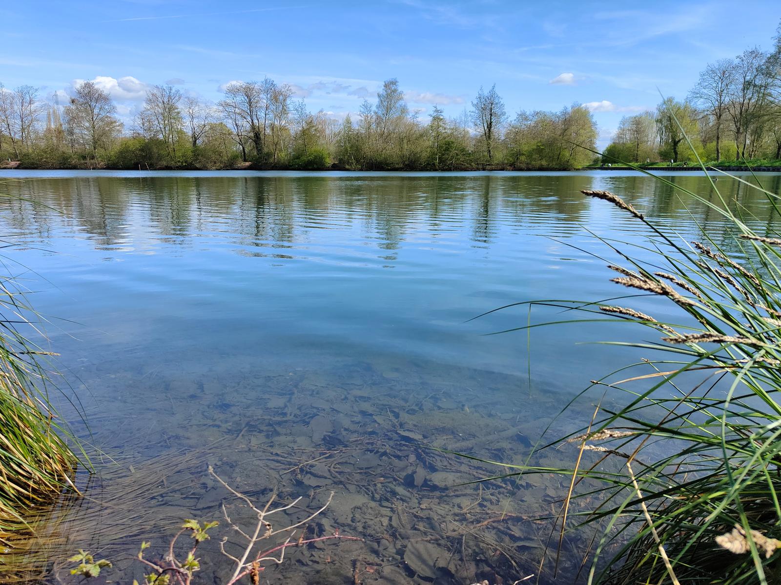 Sin-le-Noble : Le Vivier