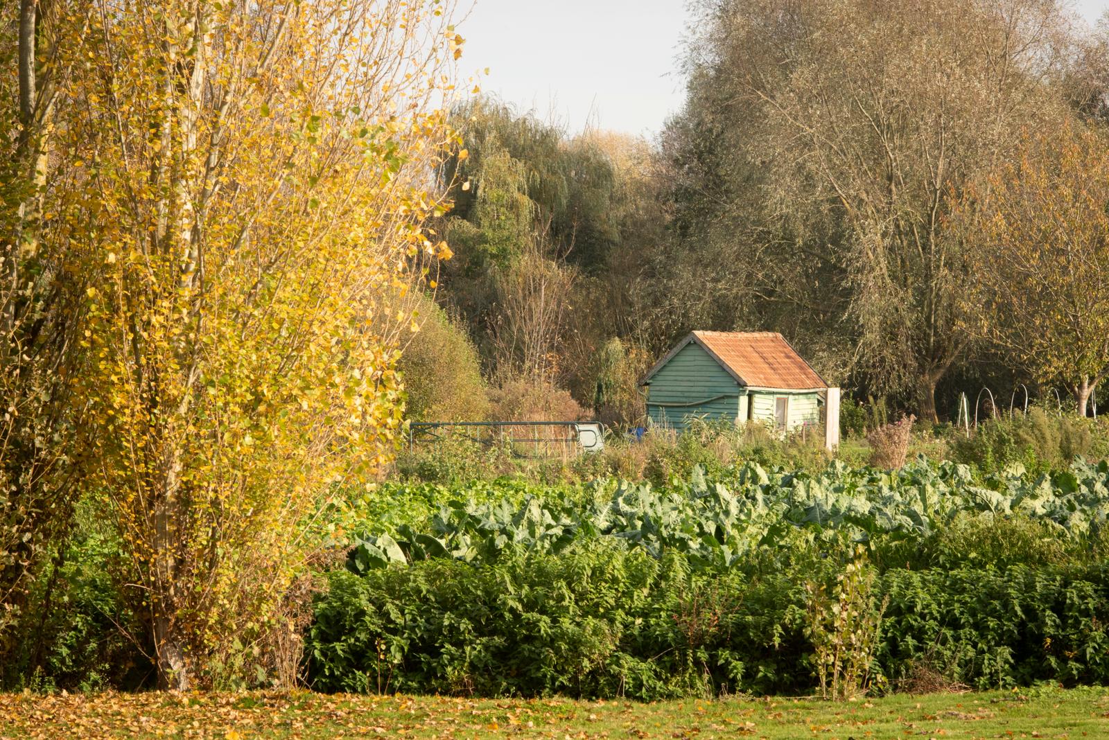 Amiens : Au jardin sur l'eau, chambres d'hôtes 33