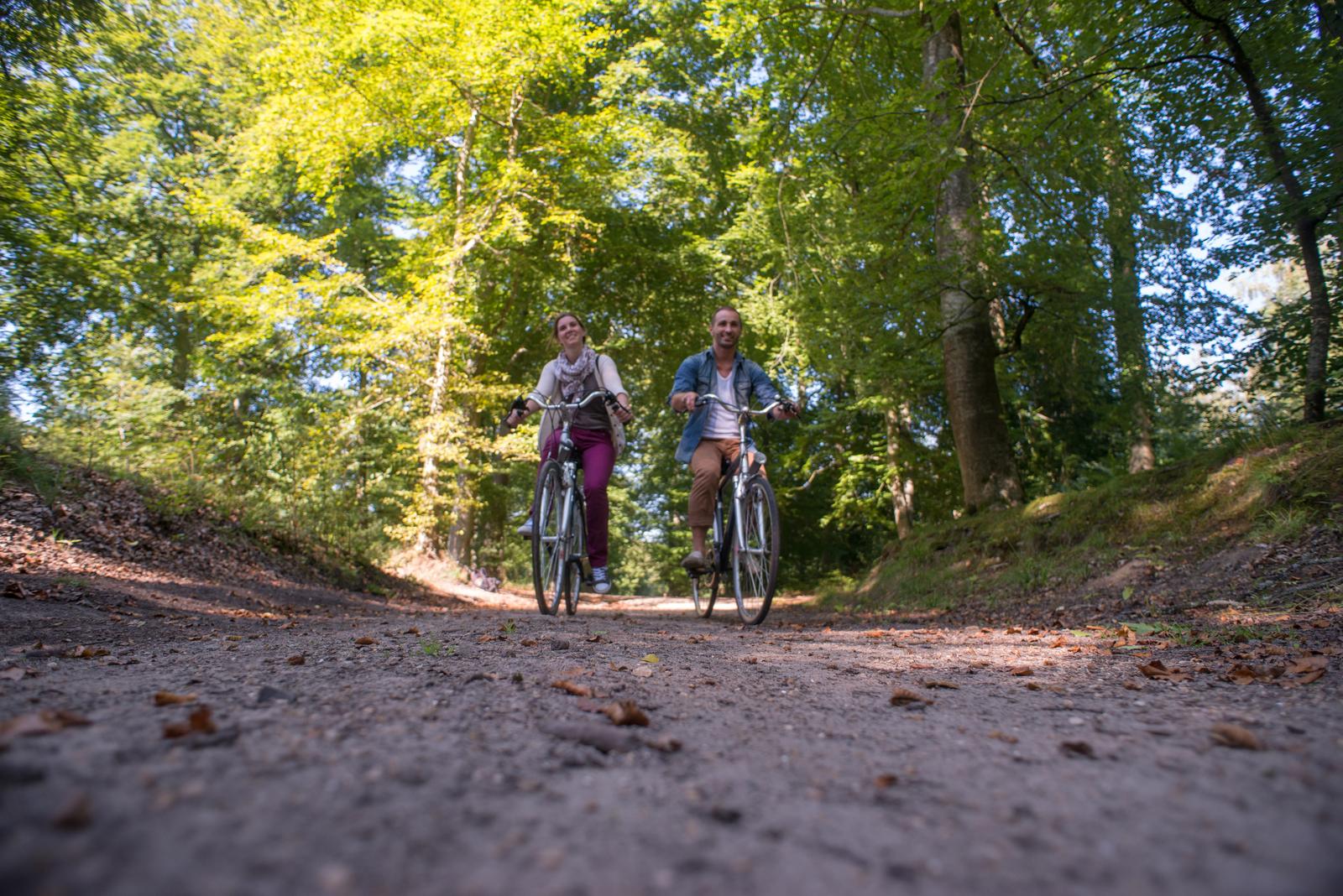 Compiègne : couple à vélo dans la forêt en été 01