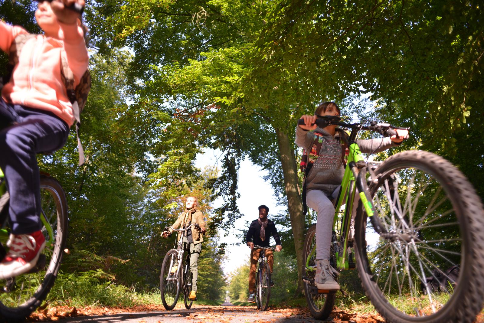Compiègne : famille à vélo en forêt 01