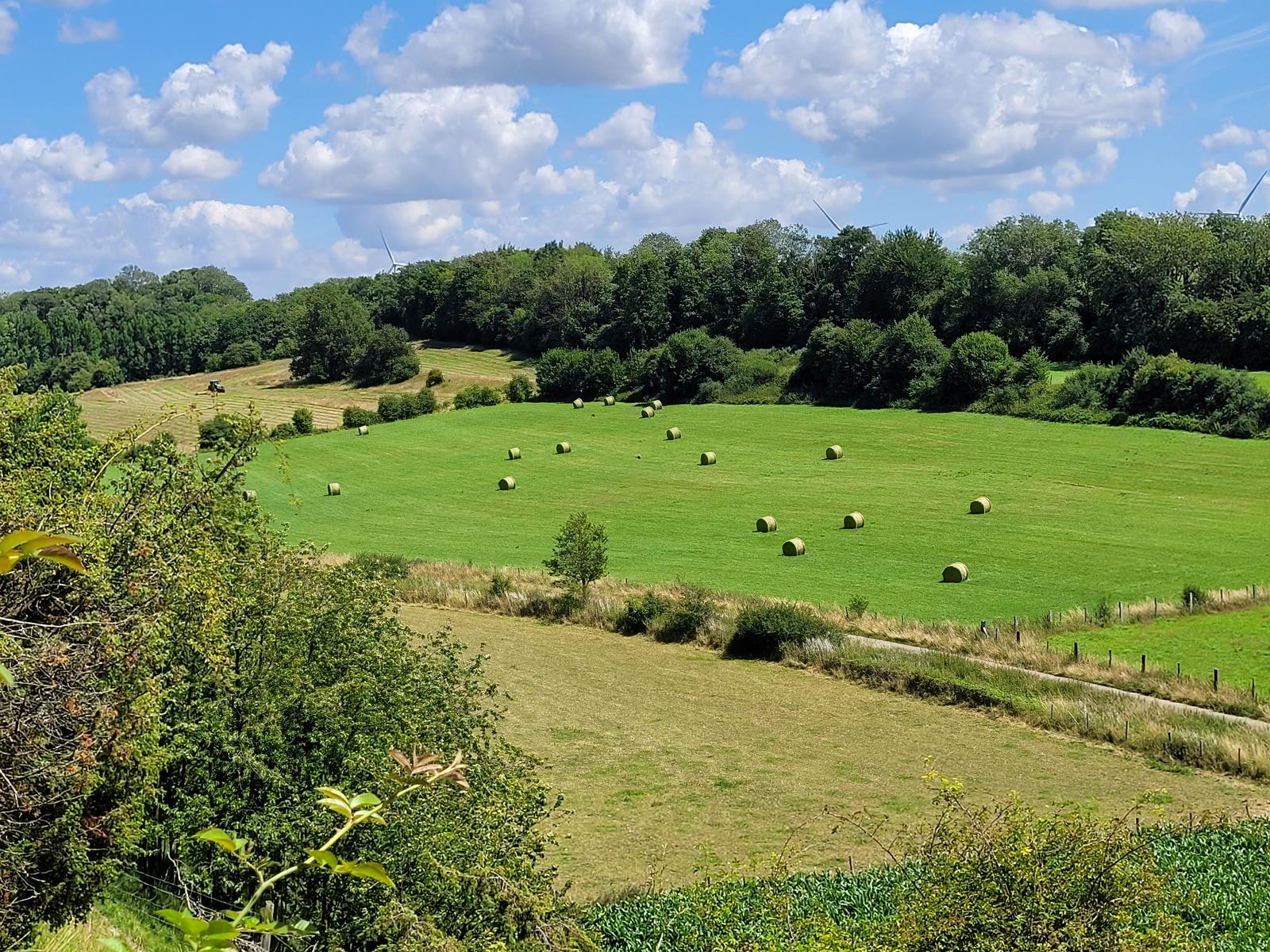Arrageois - Ternois : paysage