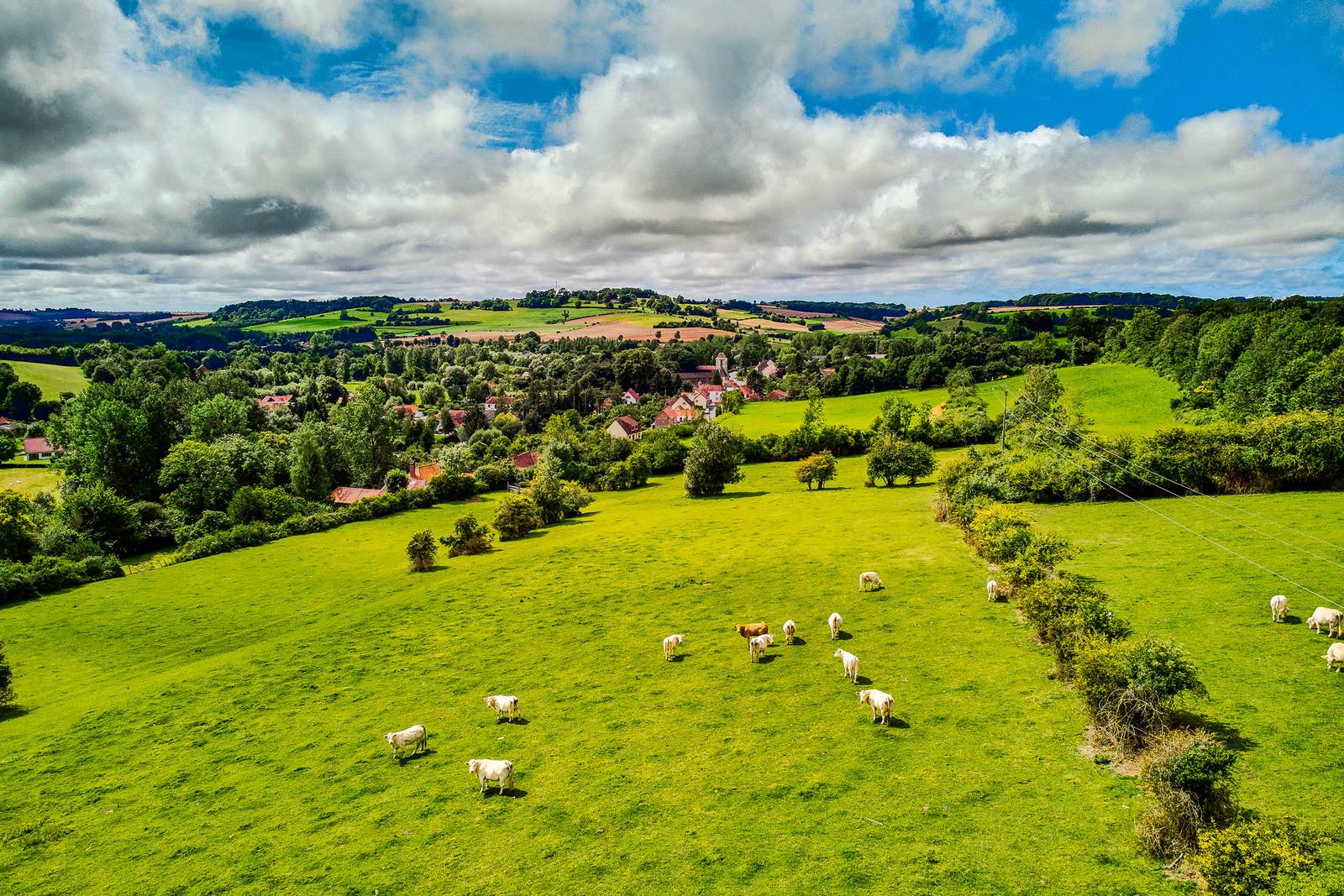 Enquin-sur-baillon : paysage de campagne