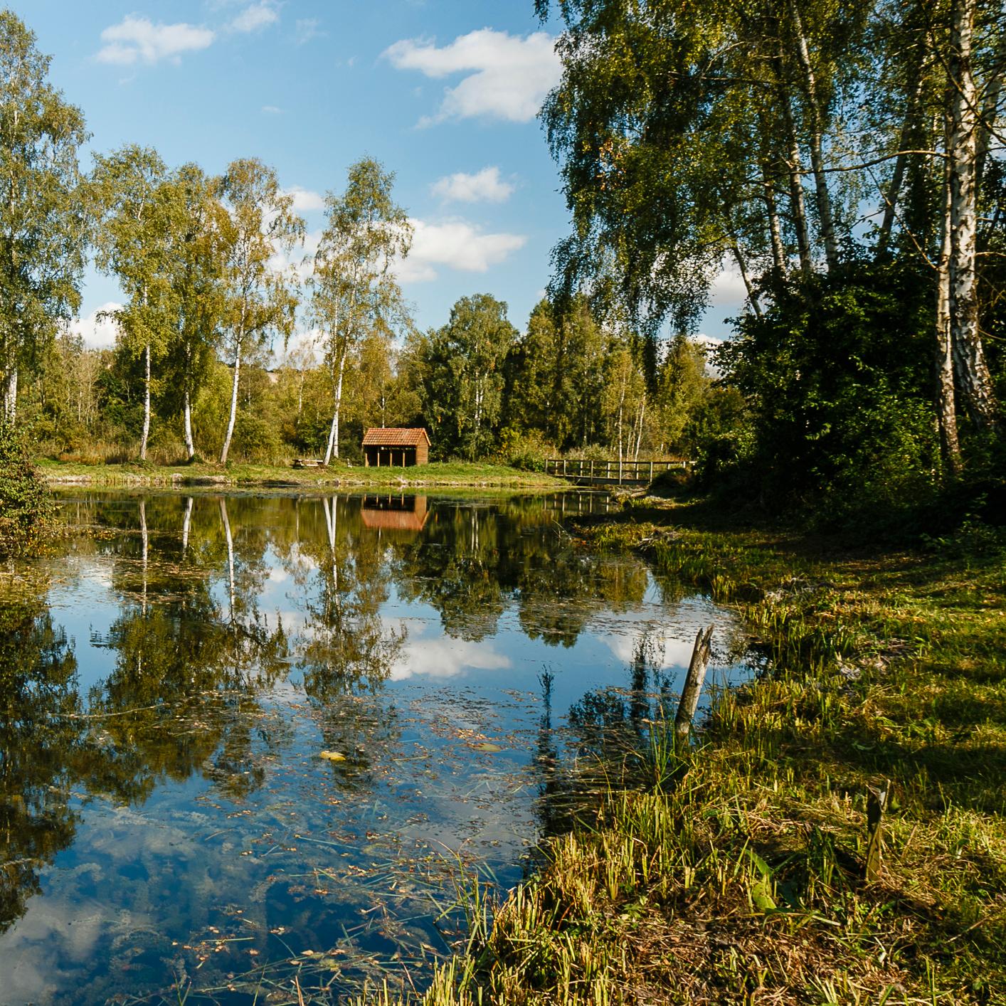 Marais de Génonville