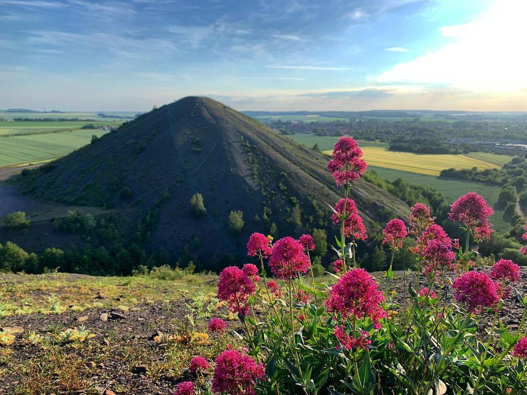 Haillicourt : les terrils du Pays à part 03