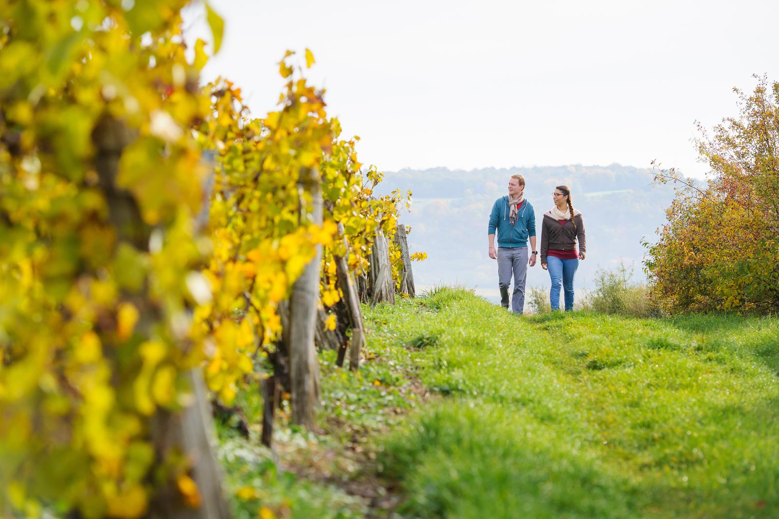Essômes-sur-Marne : couple dans les vignes à l'automne 02